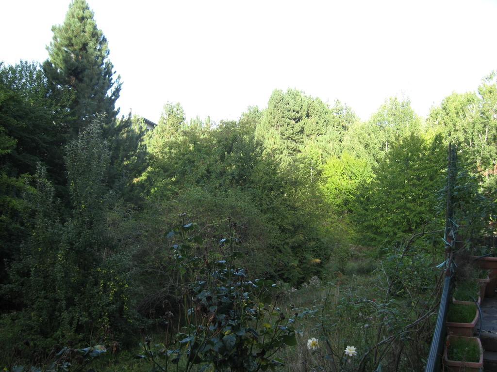 شقة Le Tre Rose Montagna كاميغلياتيلو سيلانو الغرفة الصورة